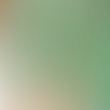 blurhash of the original image