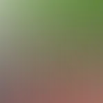 blurhash of the original image