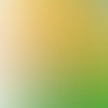 blurhash of the original image