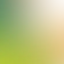 blurhash of the original image