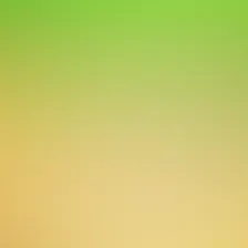 blurhash of the original image