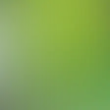 blurhash of the original image