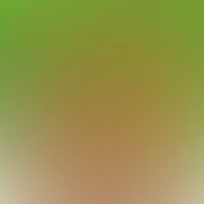 blurhash of the original image