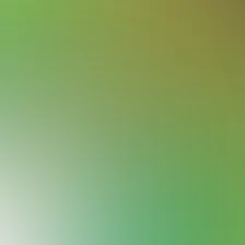 blurhash of the original image