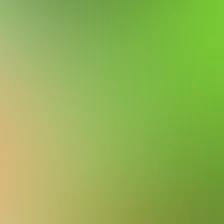 blurhash of the original image