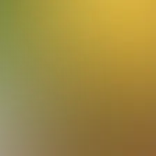 blurhash of the original image