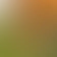 blurhash of the original image