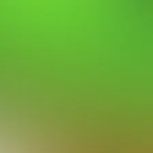 blurhash of the original image