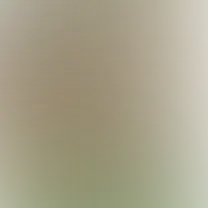 blurhash of the original image