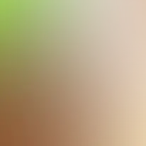 blurhash of the original image