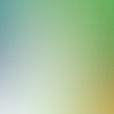 blurhash of the original image