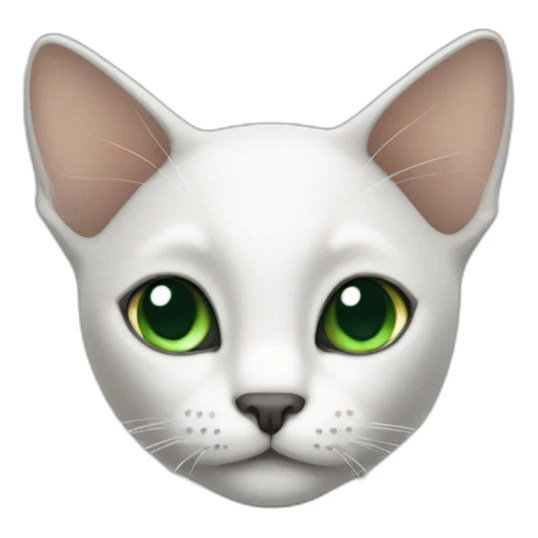 thin cat with a white face green eyes and black ears sticker