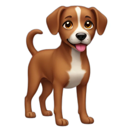 brown female dog with body sticker