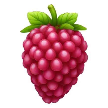 raspberry sticker