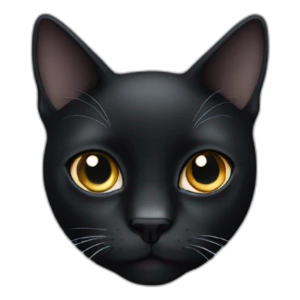 black cat with white around the eye sticker