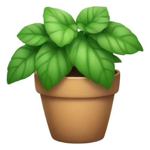 cute plant  sticker