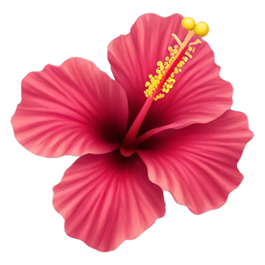 Hibiscus flower  sticker