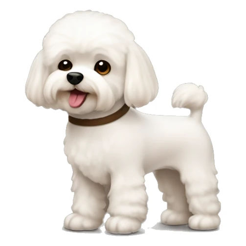 Bichon frise and yorkshire in brown sticker