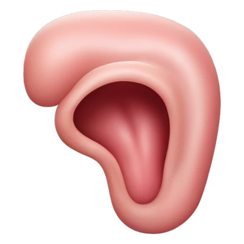 “A detailed illustration of a human stomach, with its curved shape, inner lining, and digestive features, showing subtle shading and a natural pinkish hue.” sticker