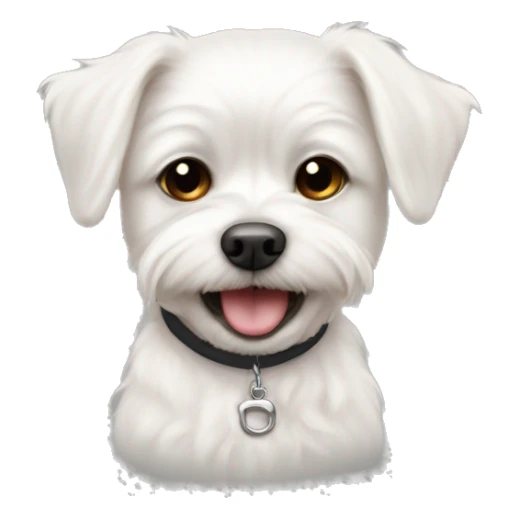 Maltese boy tiny overbite one tooth sticking out of mouth with collar that says Jake sticker