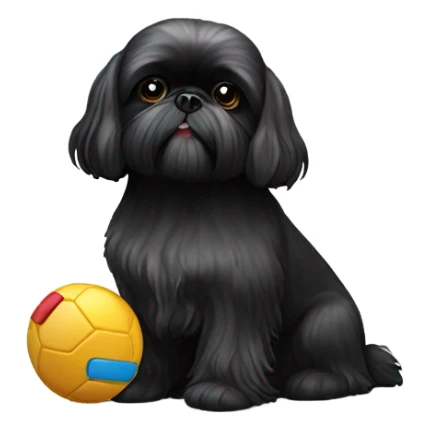 Black Shih Tzu with toy sticker