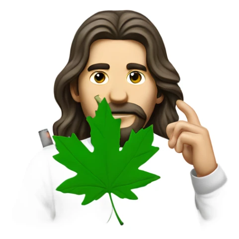 long haired man smoking a backwoods filled with green tobacco and has a shirt on with a green maple leaf  sticker