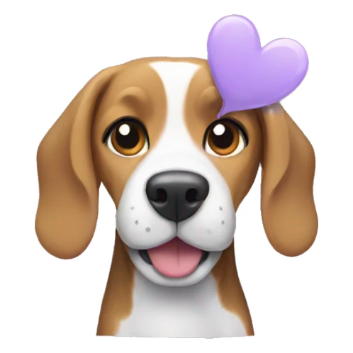 Beagle dog with a lilac heart sticker
