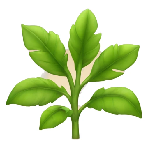 A plant in an arid region with sand or soil sticker