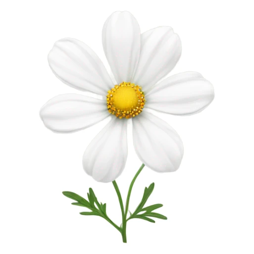 cosmos white flower sticker