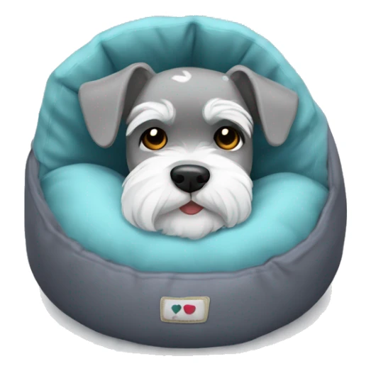 Grey and white mini schnauzer full body asleep in dog bed      sticker