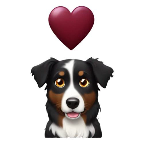 Small black australian shepherd dog with huge maroon heart sticker
