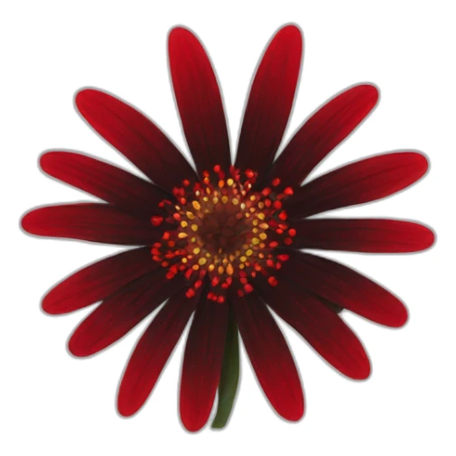 Red and black flower made of web sticker