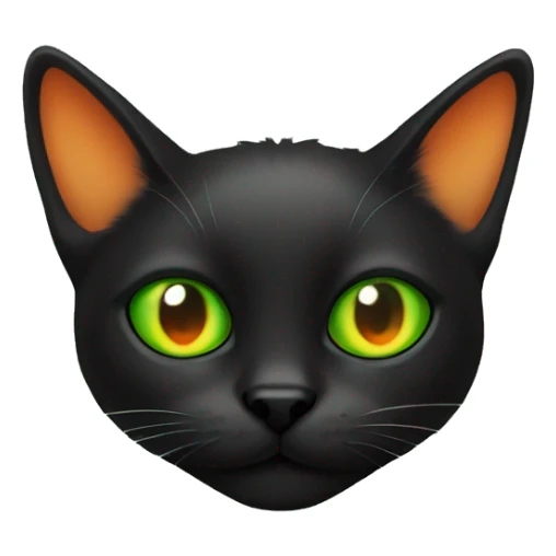 Black cat in orange spots with one left eye green sticker