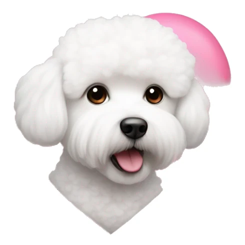 pink heart with bichon frise inside of the heart sticker