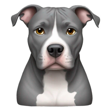Gray Pitbull laying sticker