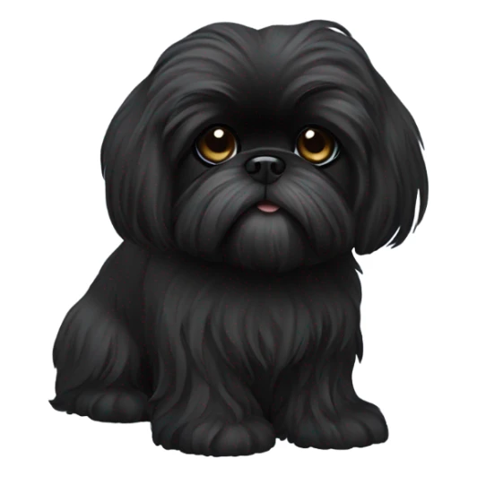 Completely black shiz tzu with long hair  sticker