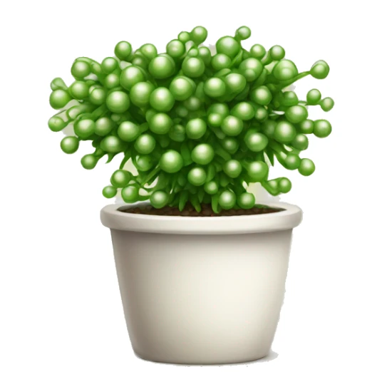 String of pearls houseplant sticker