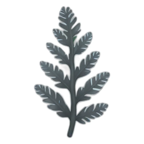 Silver fern sticker