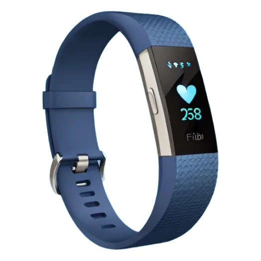 Fitbit company logo sticker