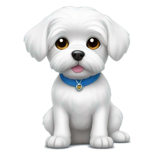 White dog Maltese in blue T-shirt  sticker