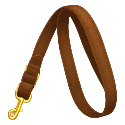 Brown dog leash with golden carabiner sticker