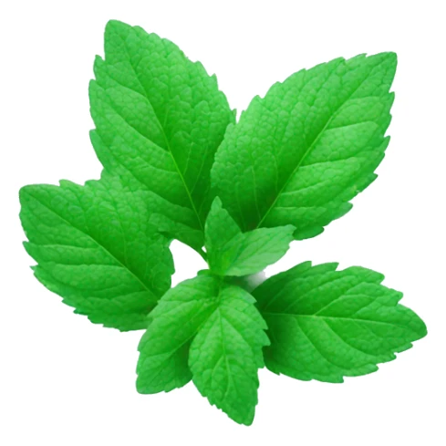 frozen mint with ice and snow on mint leaves sticker