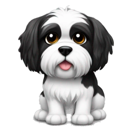 Black white Shitzu with a Rubik’s cube sticker