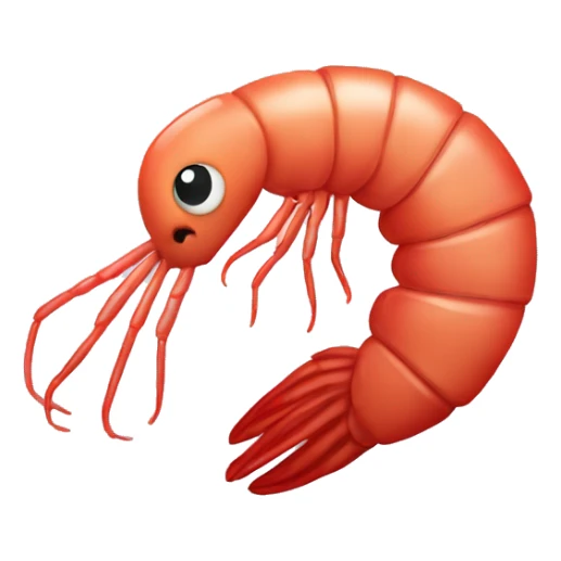 Shrimp in front of a heart sticker