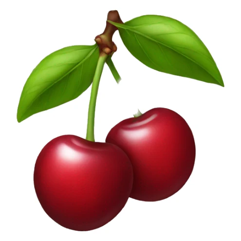 Cherry  sticker