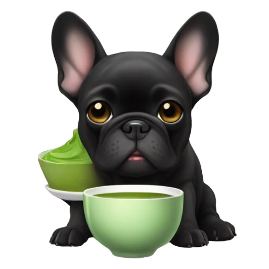 All black French bulldog drinking matcha tea sticker