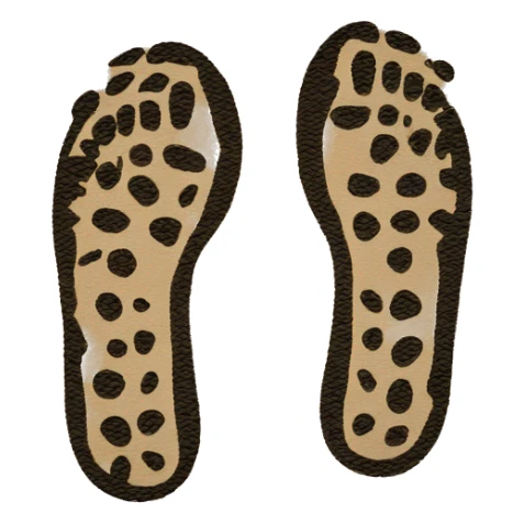 pair of shoe prints in the path sticker