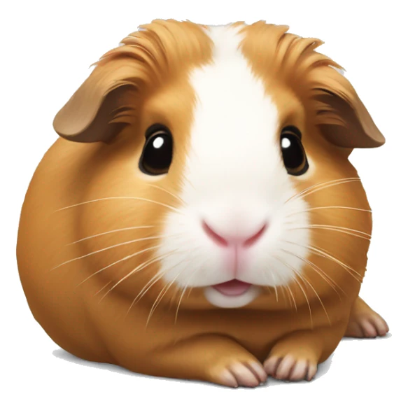 Guineapig laying down very cute but realistic sticker