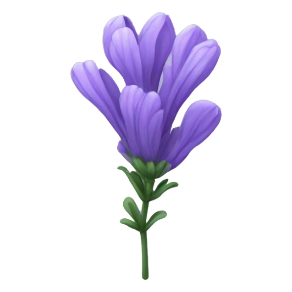 single lavender flower  sticker
