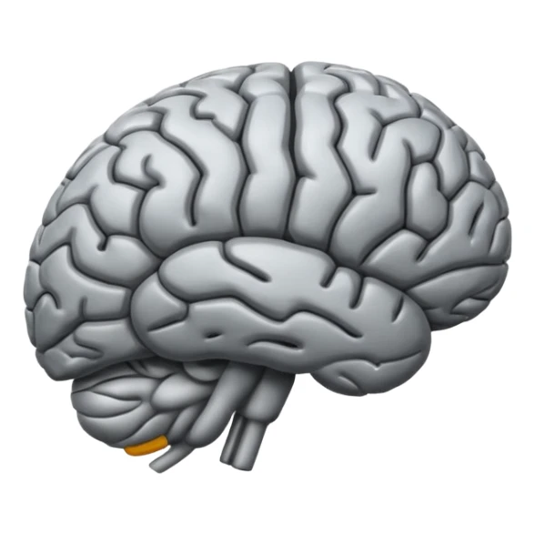 Brain image sticker